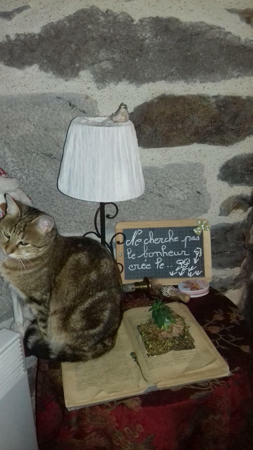 Chez Marraine Villa Sauvat Eksteriør bilde